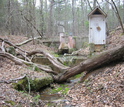 watershed research site at the Calhoun CZO in the Southeast Piedmont.